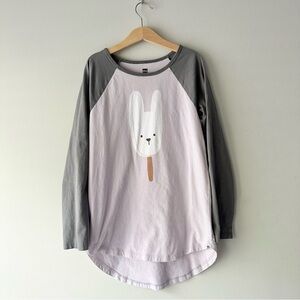 Tea Collection Bunny Rabbit Popsicle Raglan Shirt